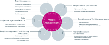 Effizientes Projektmanagement In Der Unternehmensberatung: Erfolg Durch ...